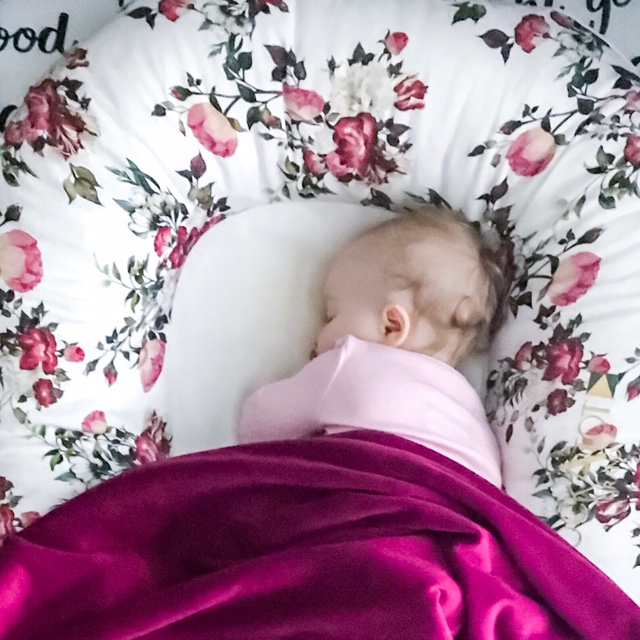 DockATot Grand Vie en La Rose with baby sleeping 