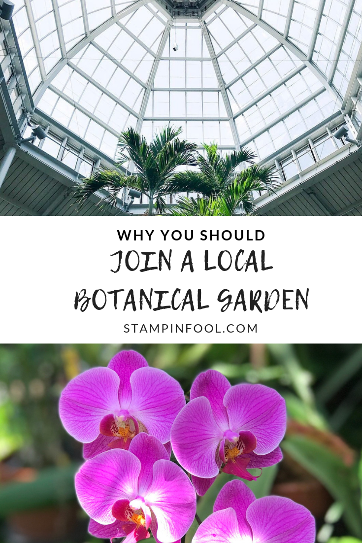 Why You Should Join a Local Botanical Garden