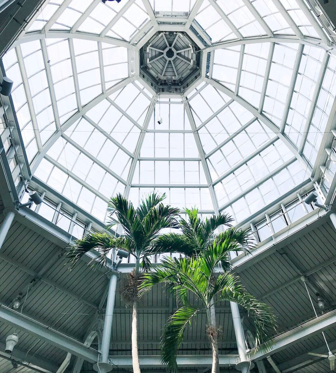 Conservatory at Lewis Ginter Botanical Garden