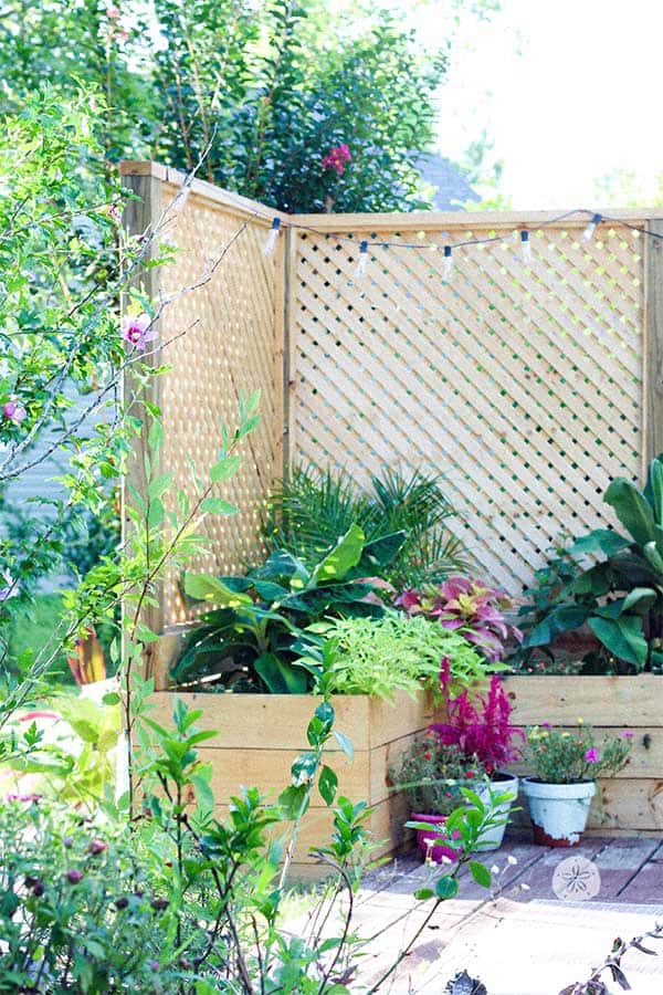 DIY Privacy Planter Screen Outdoor Project