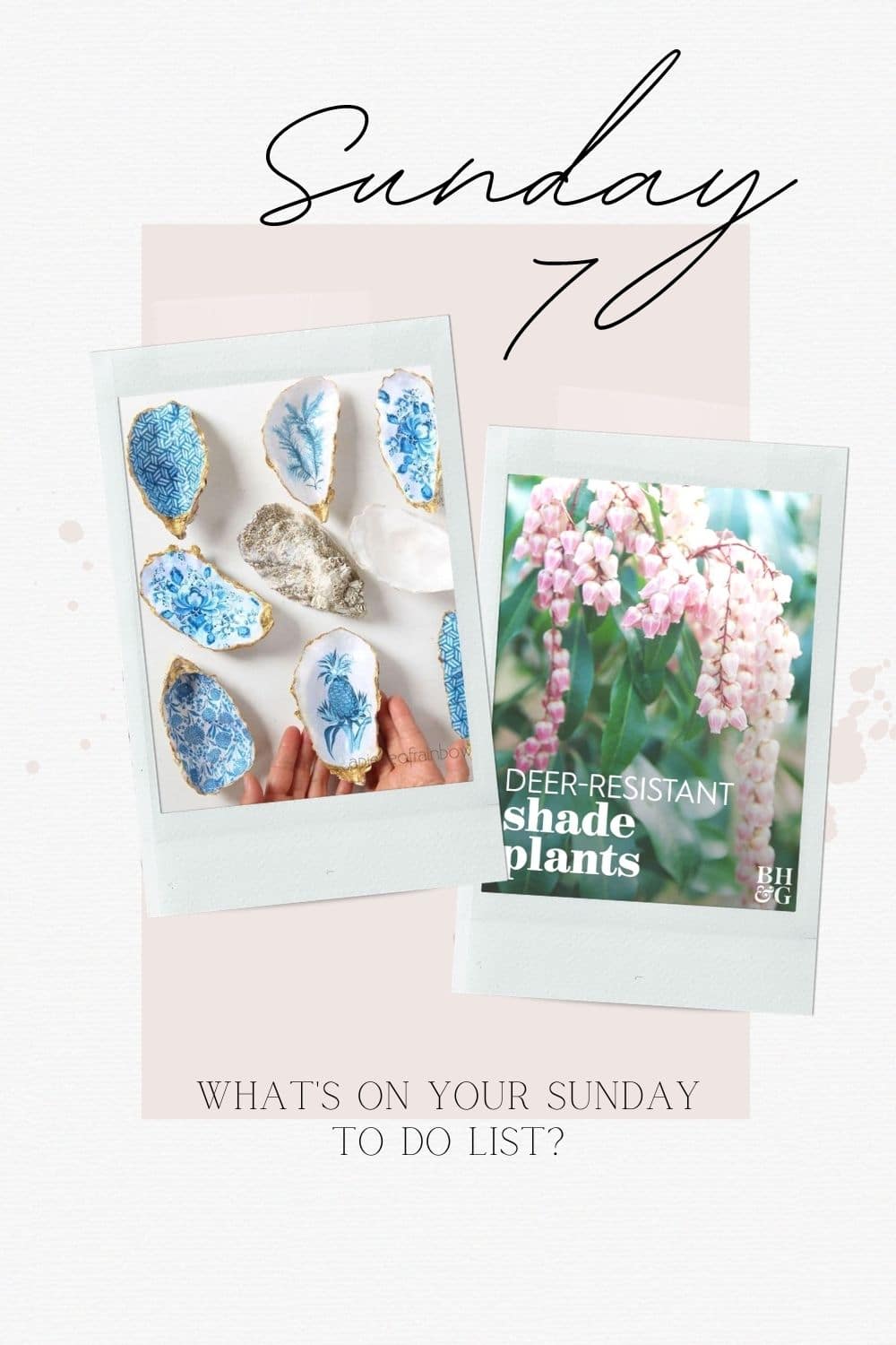 The Sunday 7 Spring Favs