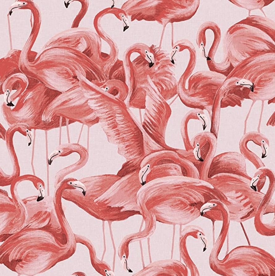 Pink flamingo wallpaper