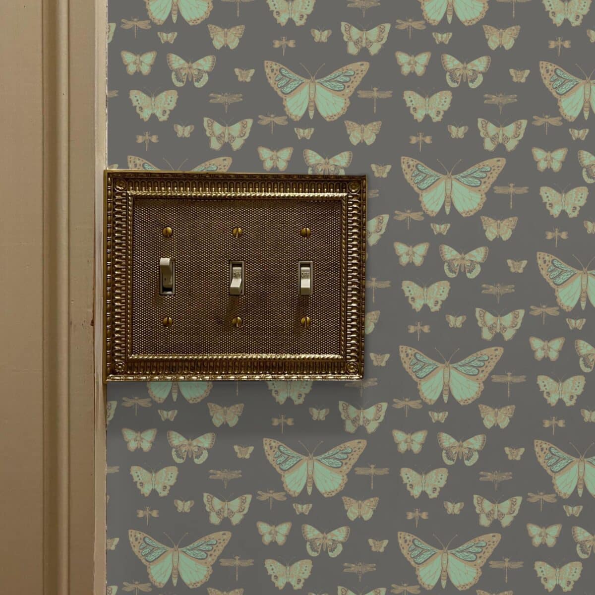 lightswitch cover in gold